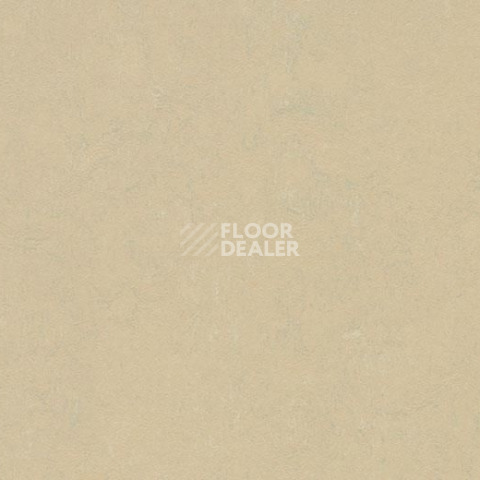 Линолеум Forbo Marmoleum Decibel on Order 372935 mica фото 1 | FLOORDEALER